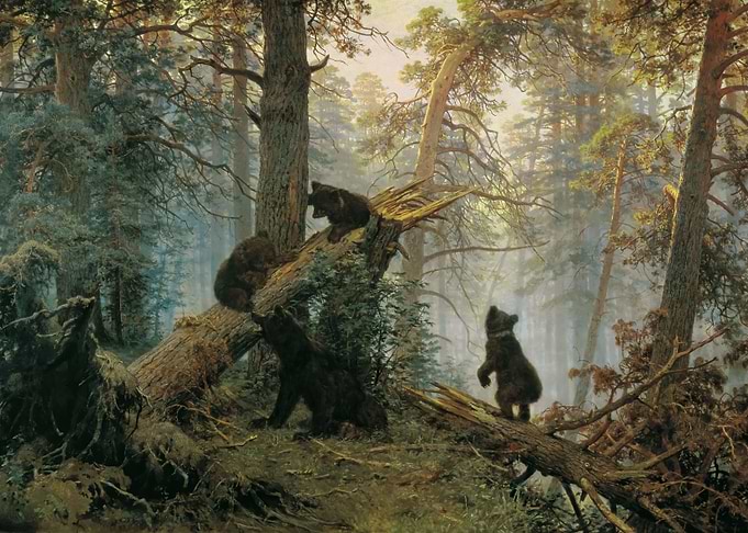 Morning in a Pine Forest