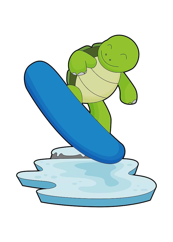 Turtle Snowboarder