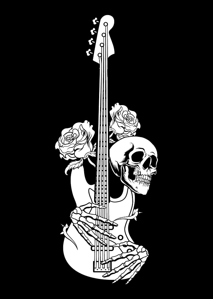 Bass Guitar Bassist