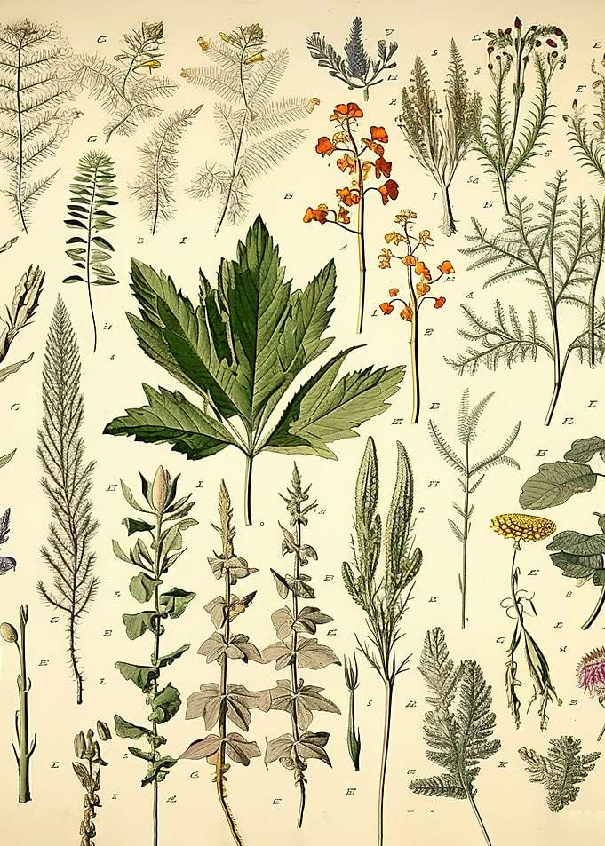 biological experiment book
