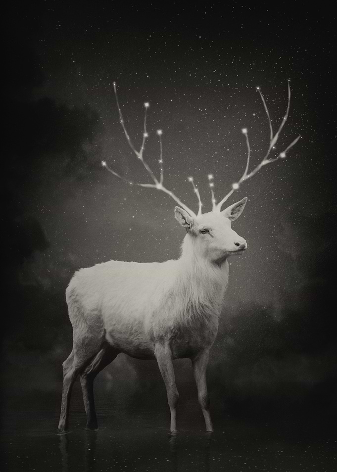 Starry Sepia