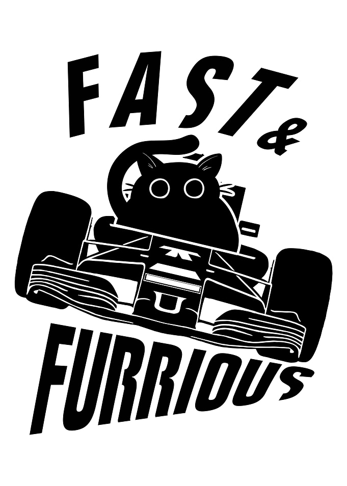 Funny Car Driving Cat