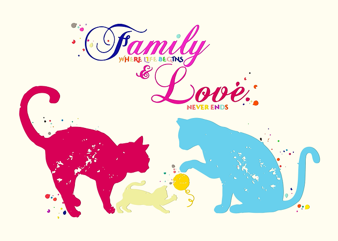 Cat Family Quote Love
