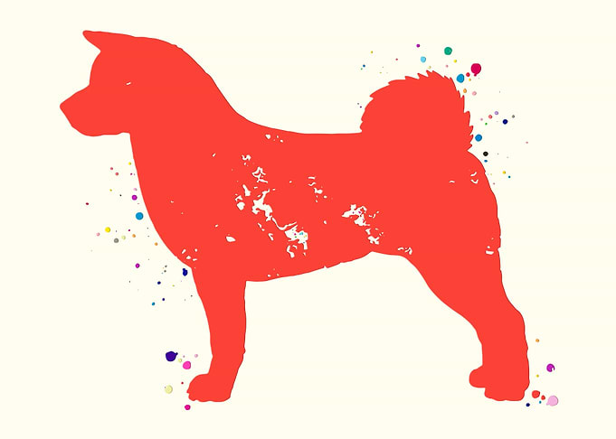 Akita Dog
