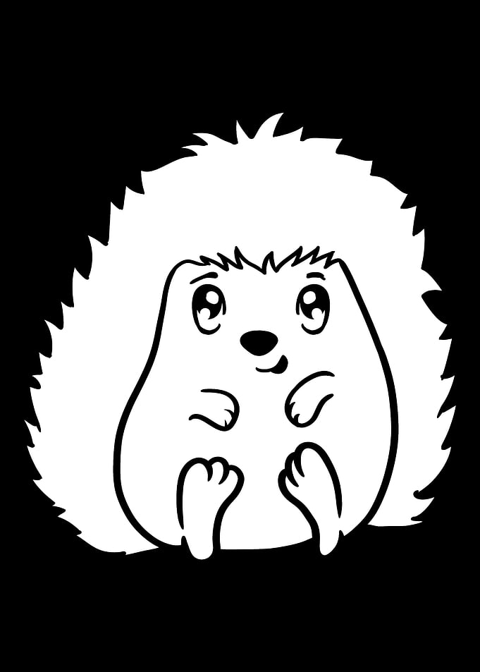 Hedgehog Cute