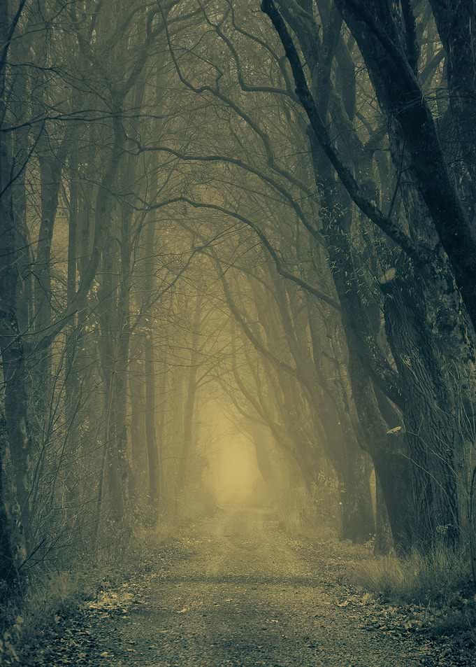 Silent Pathways
