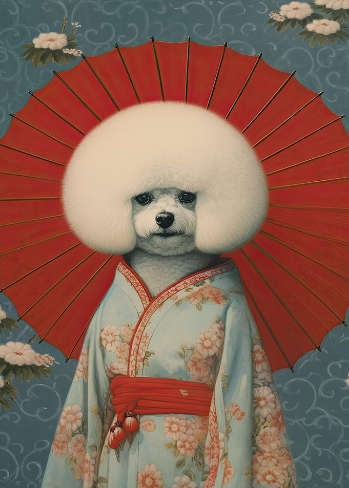 Bichon Frise Geisha