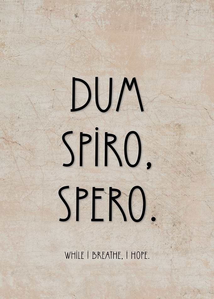 Latin Quote About Hope