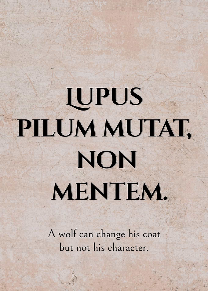 Latin Quote Character