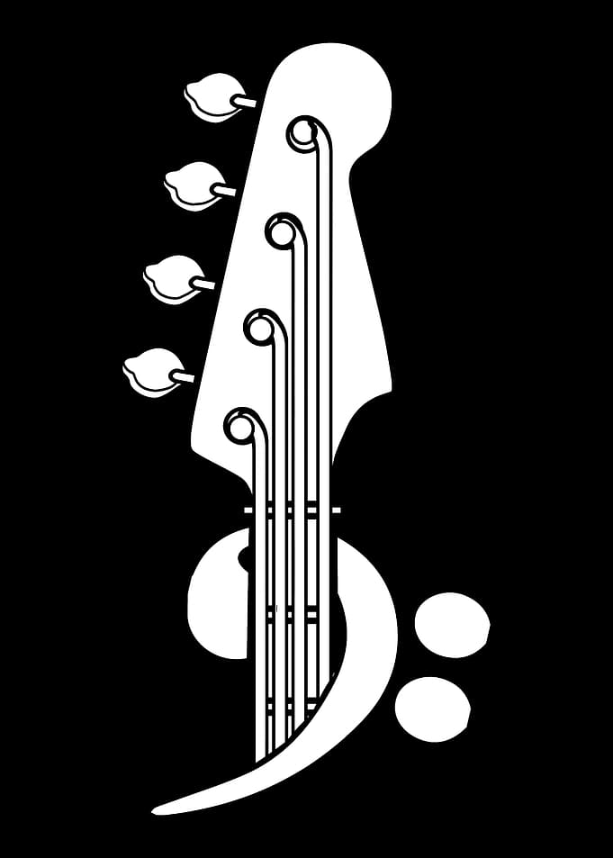 Bass Guitar Bassist