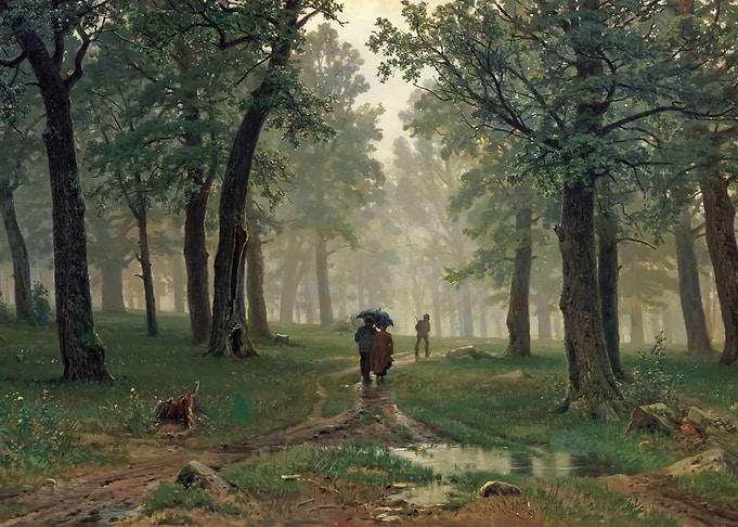 Rain in an Oak Forest