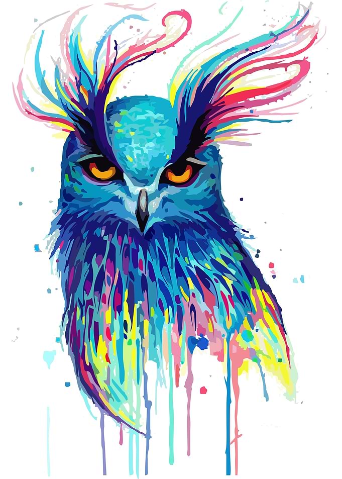 animal abstract