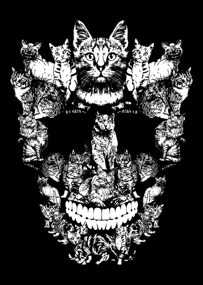 Cat Skull