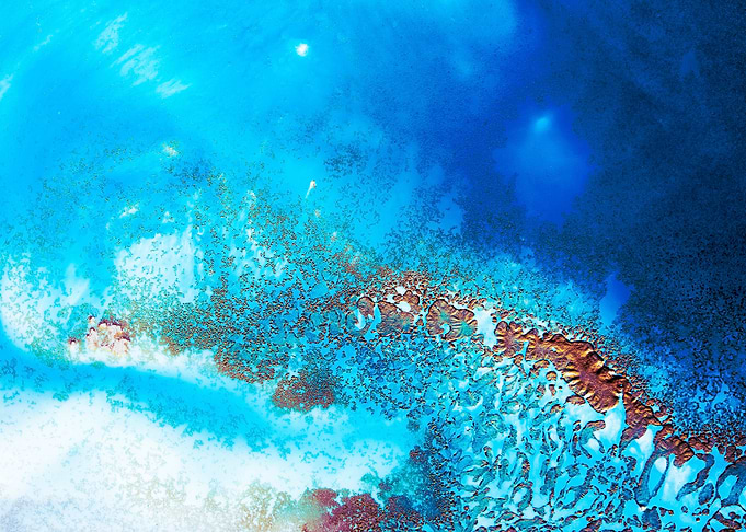 Into the Blue