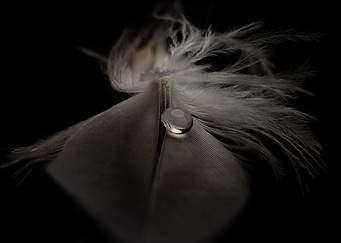 Droplet Feather