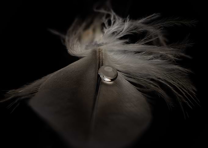 Droplet Feather