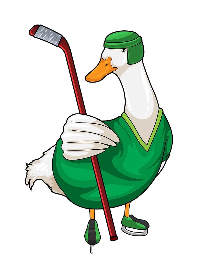 Duck Ice hockey