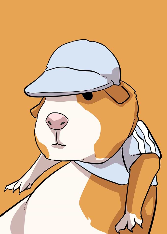 cute hamsters