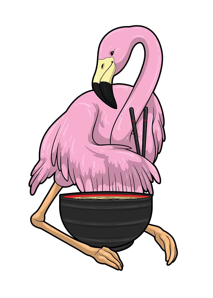 Flamingo Ramen Bowl