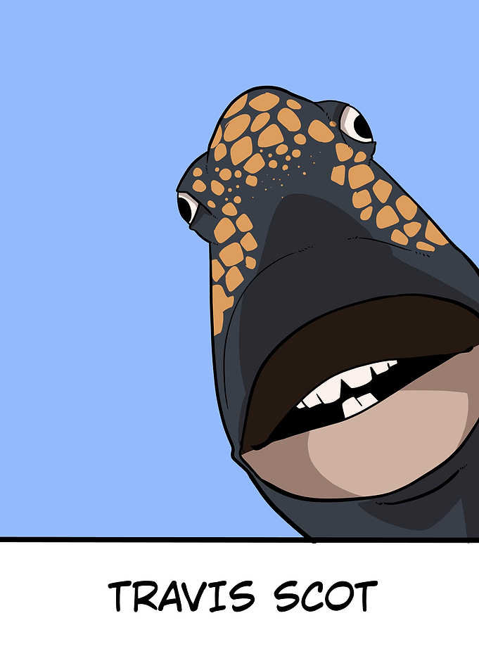 Travis scot fish