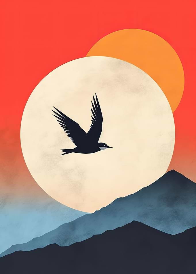 Minimalist Vista