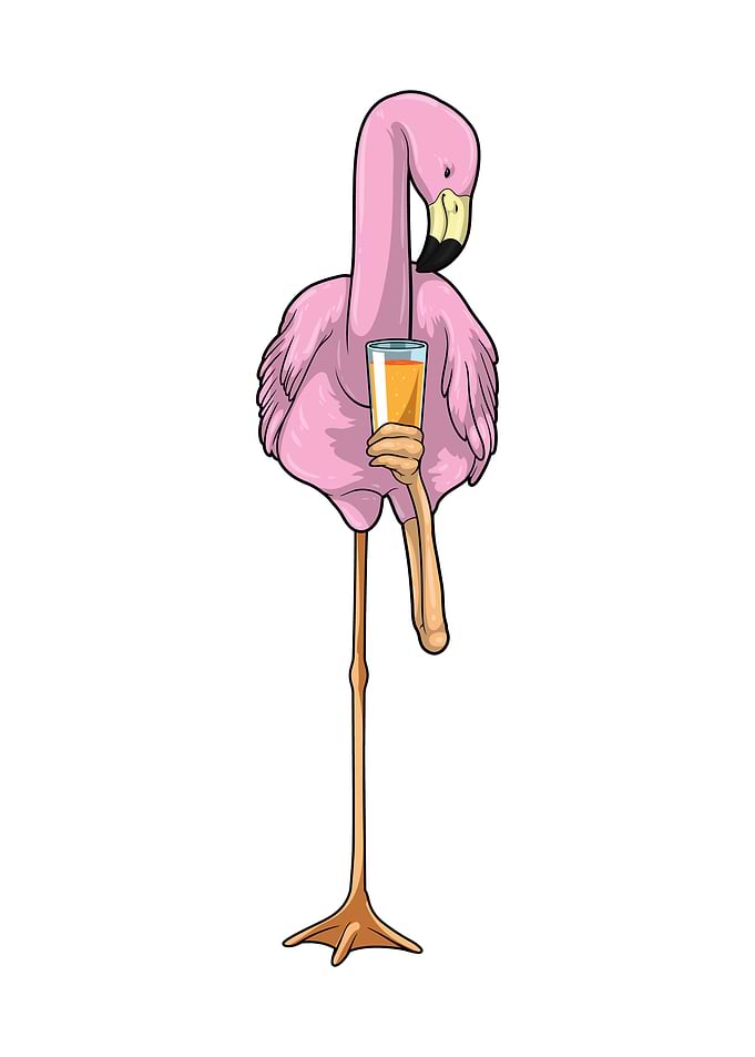 Flamingo Orange juice