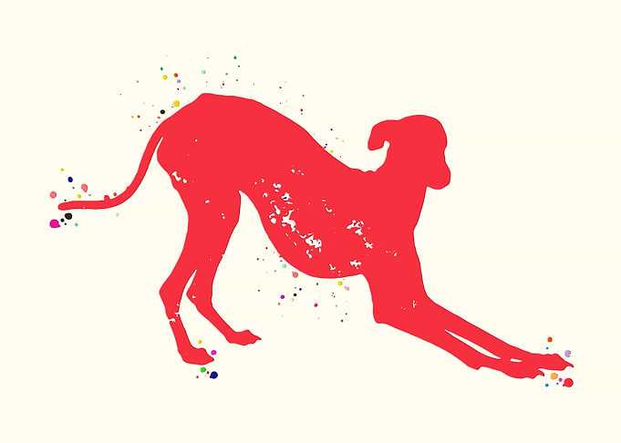 Greyhound