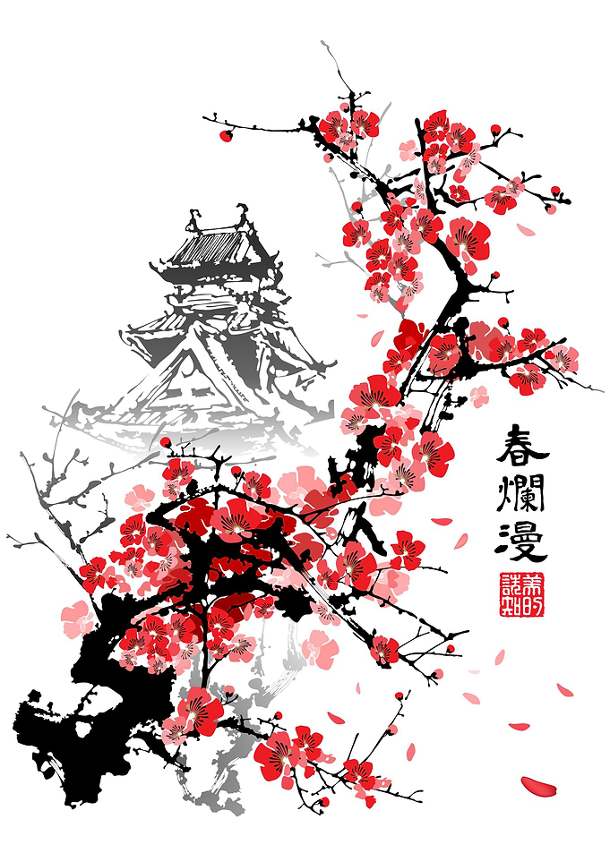 Japanese Pagoda Cherry