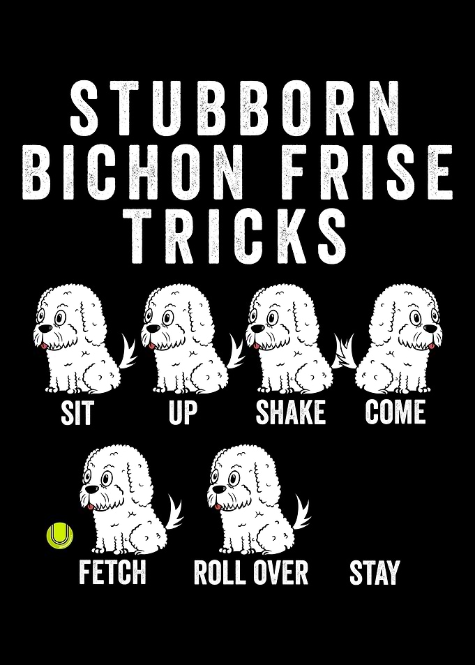 Bichon Frise Tricks