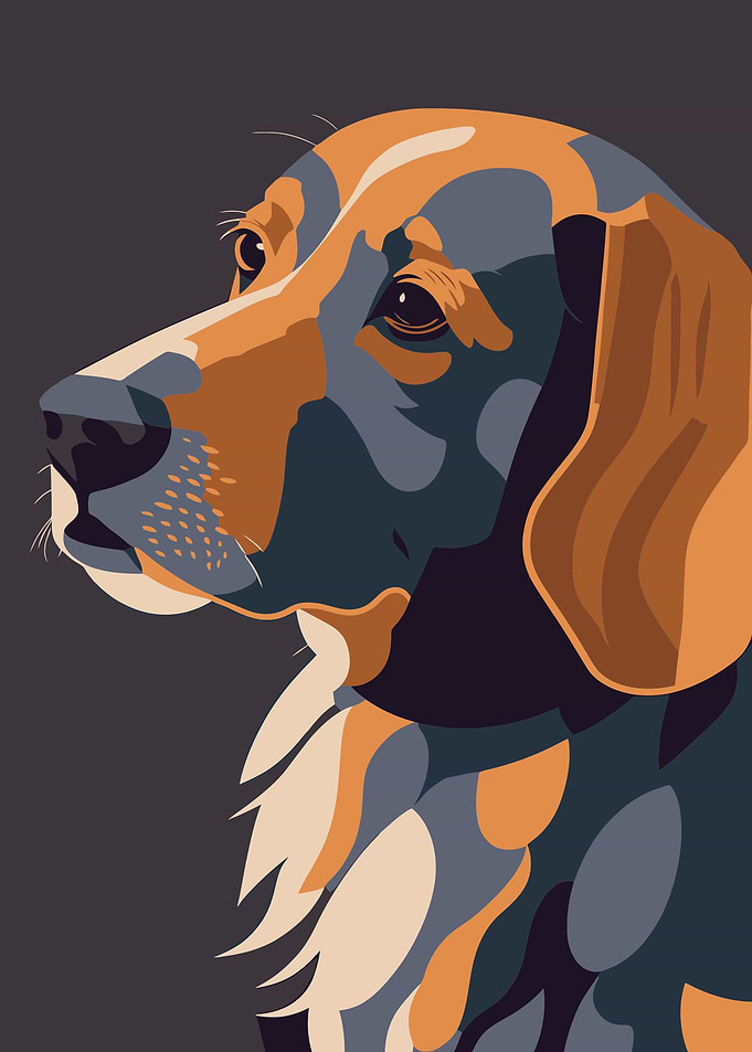 Portraits of dog