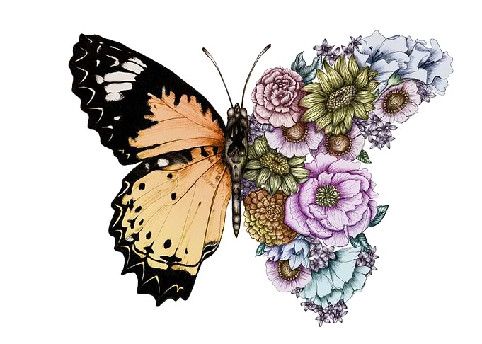Butterfly In Bloom