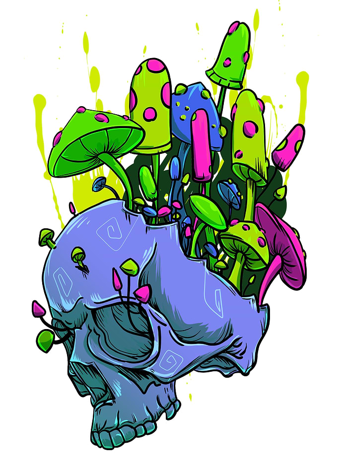 Trippy Mushroom Skull Vibe