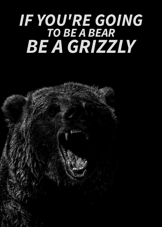 bears
