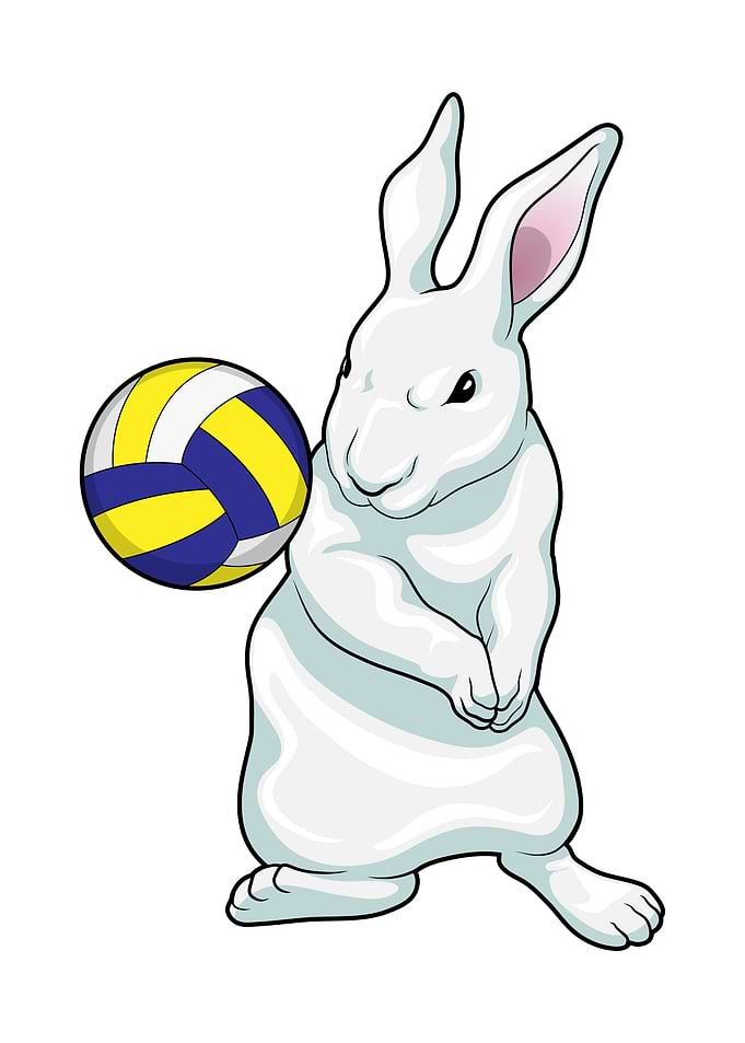 Rabbit Volleyball