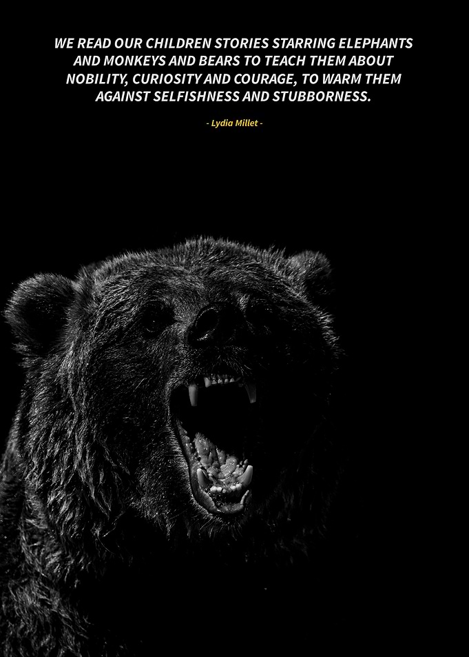 bears