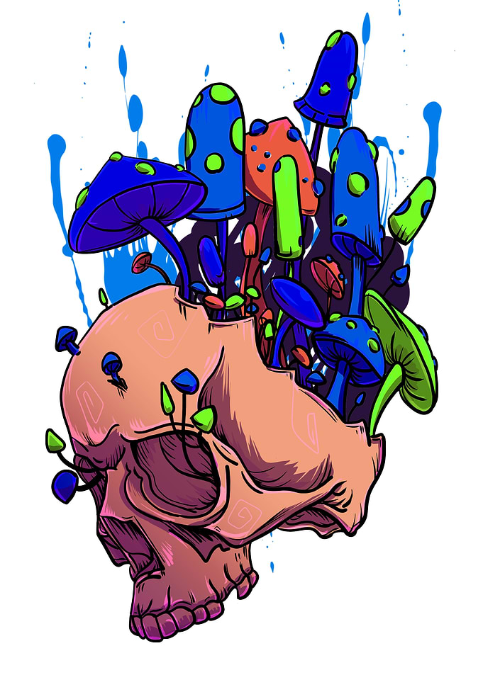 Trippy Mushroom Skull Vibe