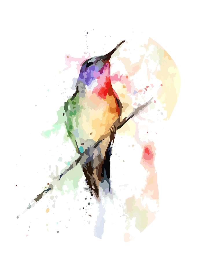 Animal fullcolour abstract