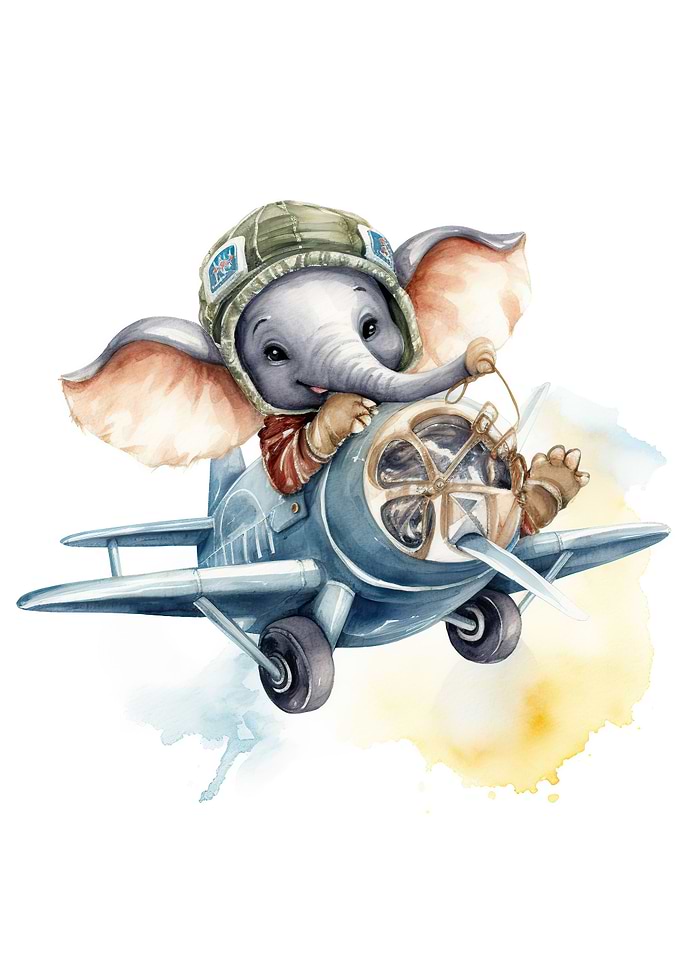 Elephant in plane