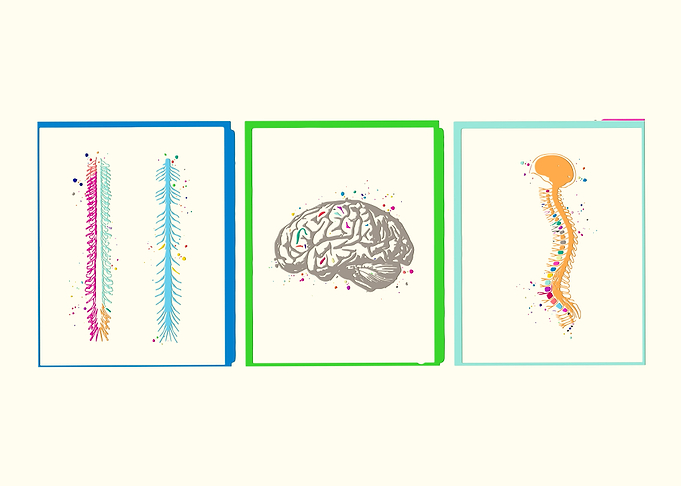 Neurosurgeon