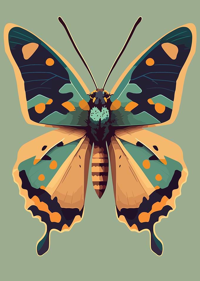 Butterfly on a green