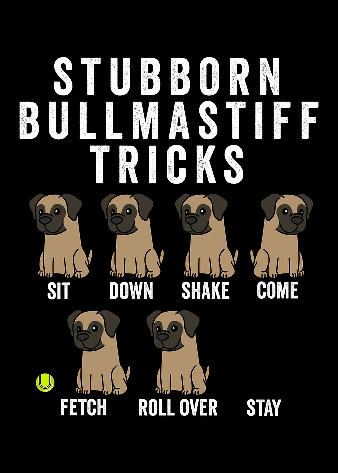 Bullmastiff Tricks