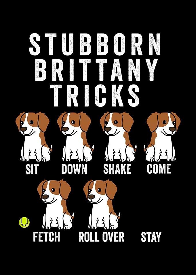 Brittany Spaniel Tricks