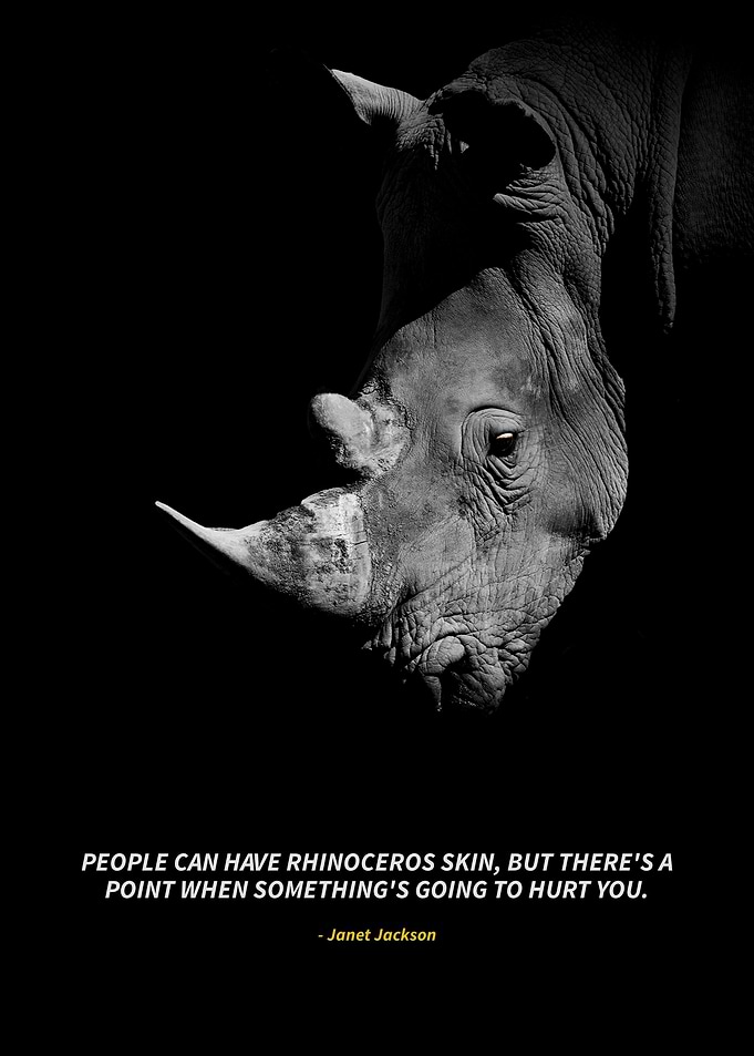 rhinoceros