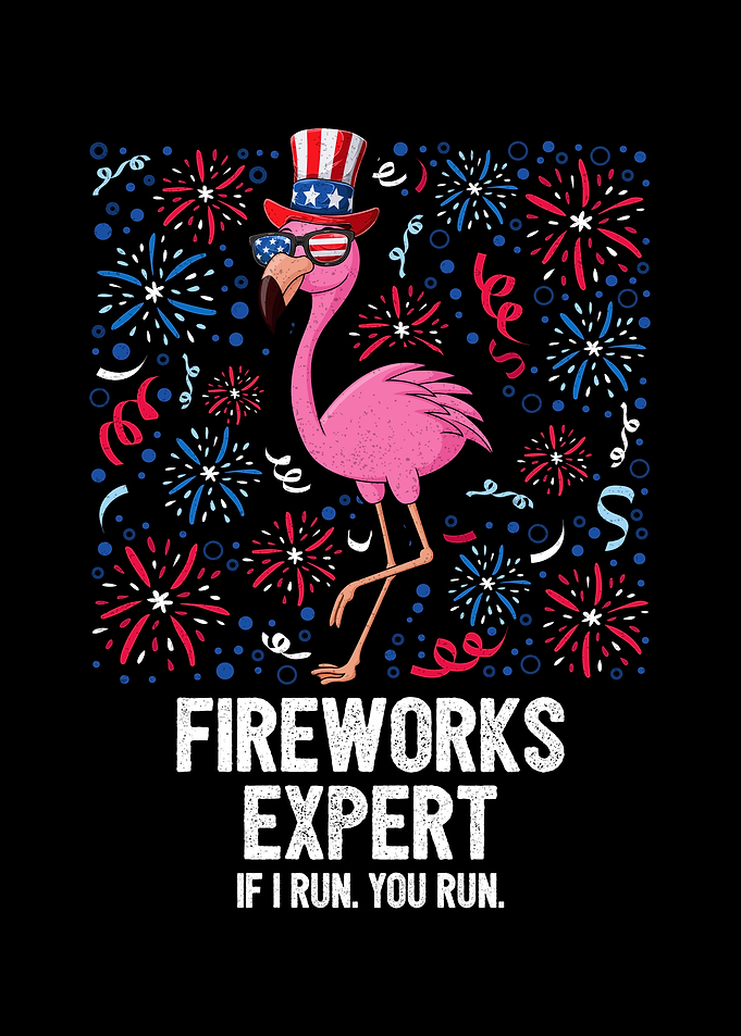 4th Of July Fireworks