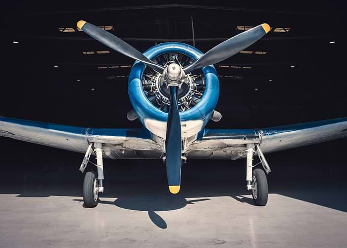 warbird