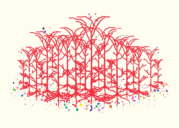 Neural Network