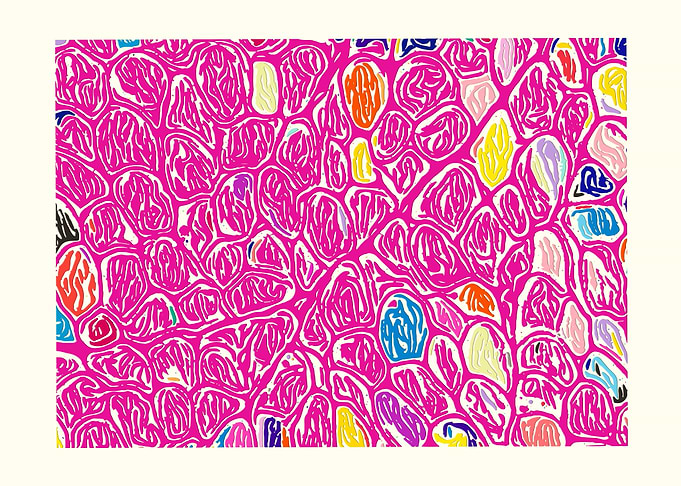 Human Skeletal Muscle