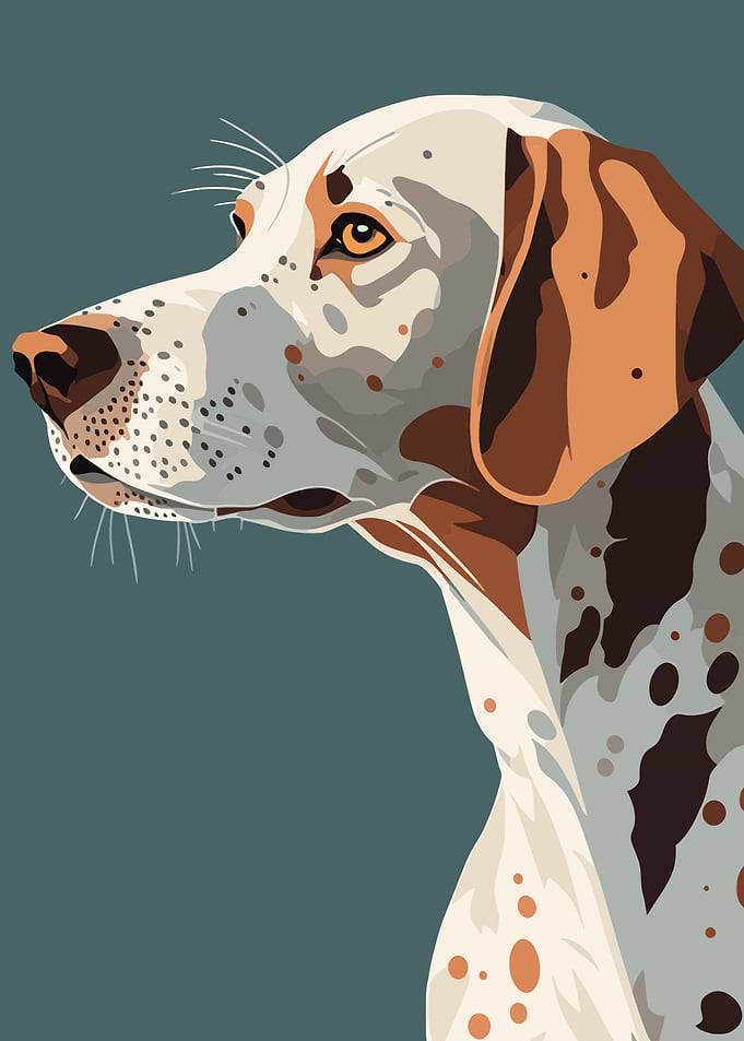 Portraits of dog