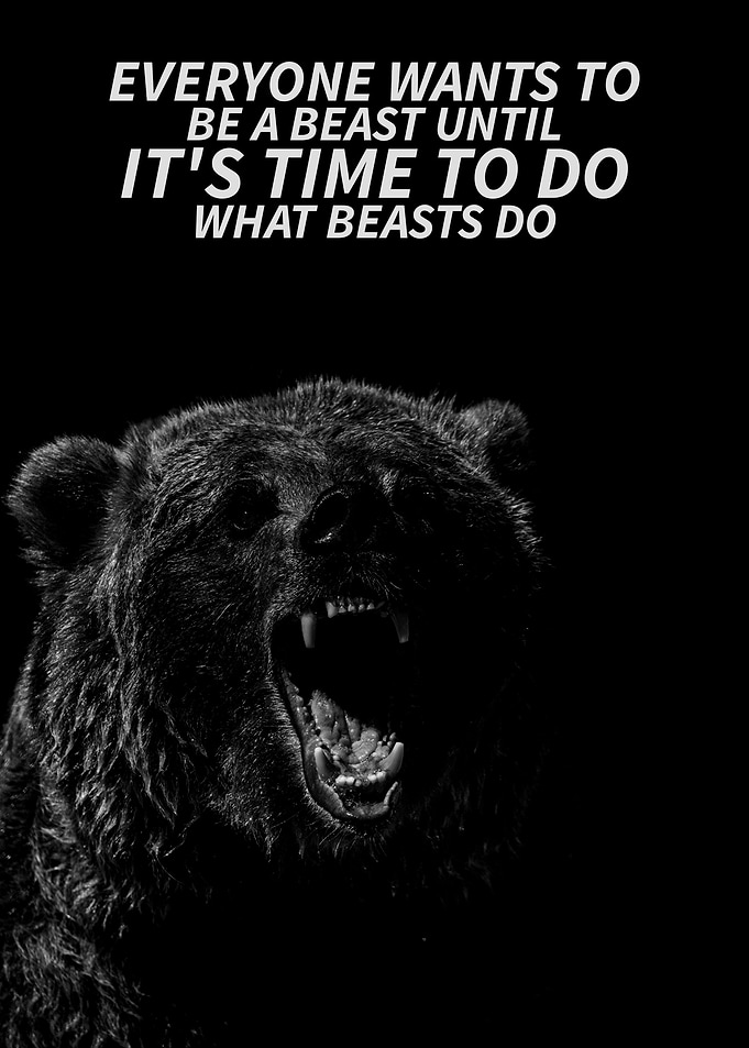 bears