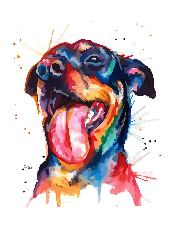 Animal fullcolour abstract